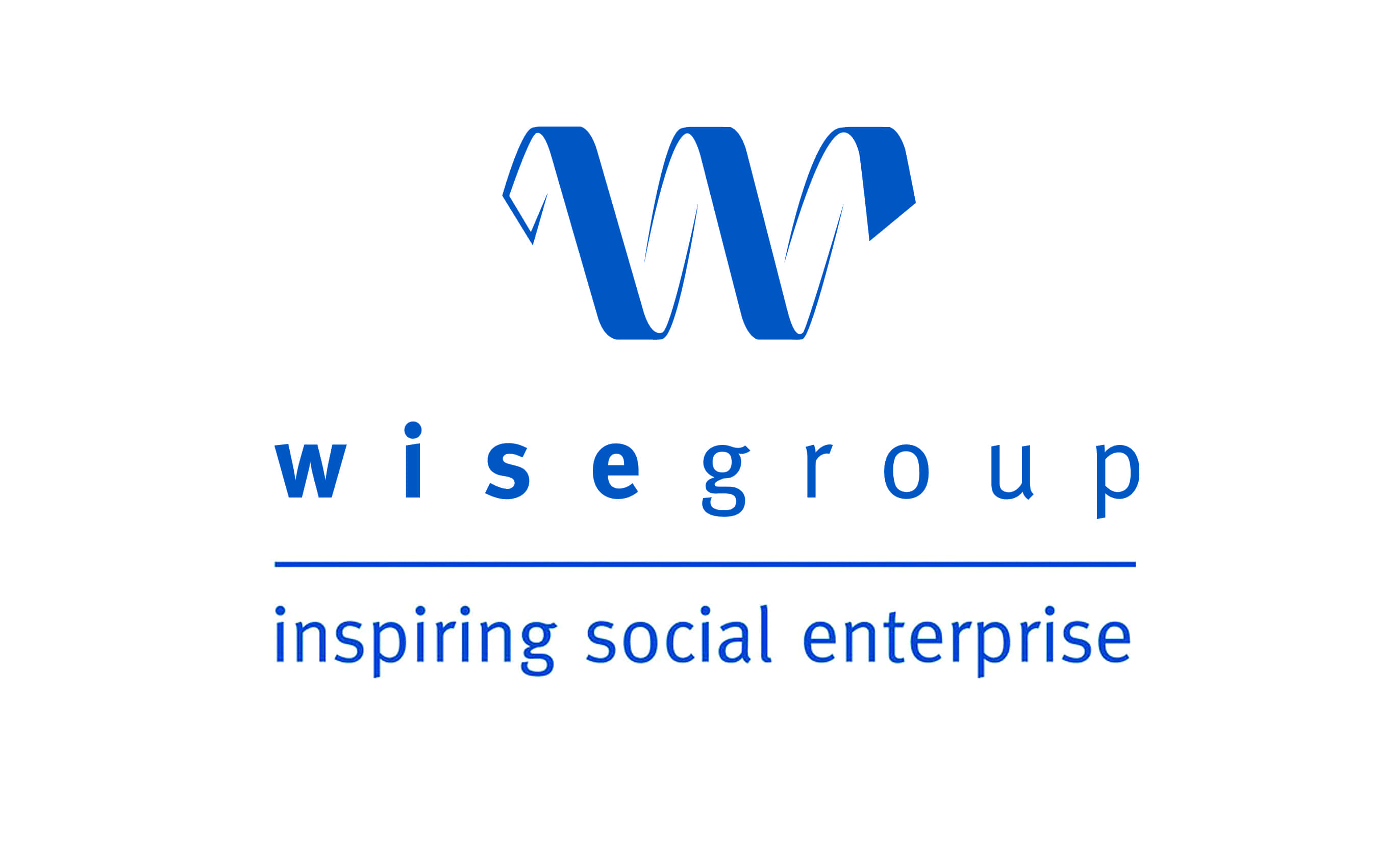 The Wise Group Logo