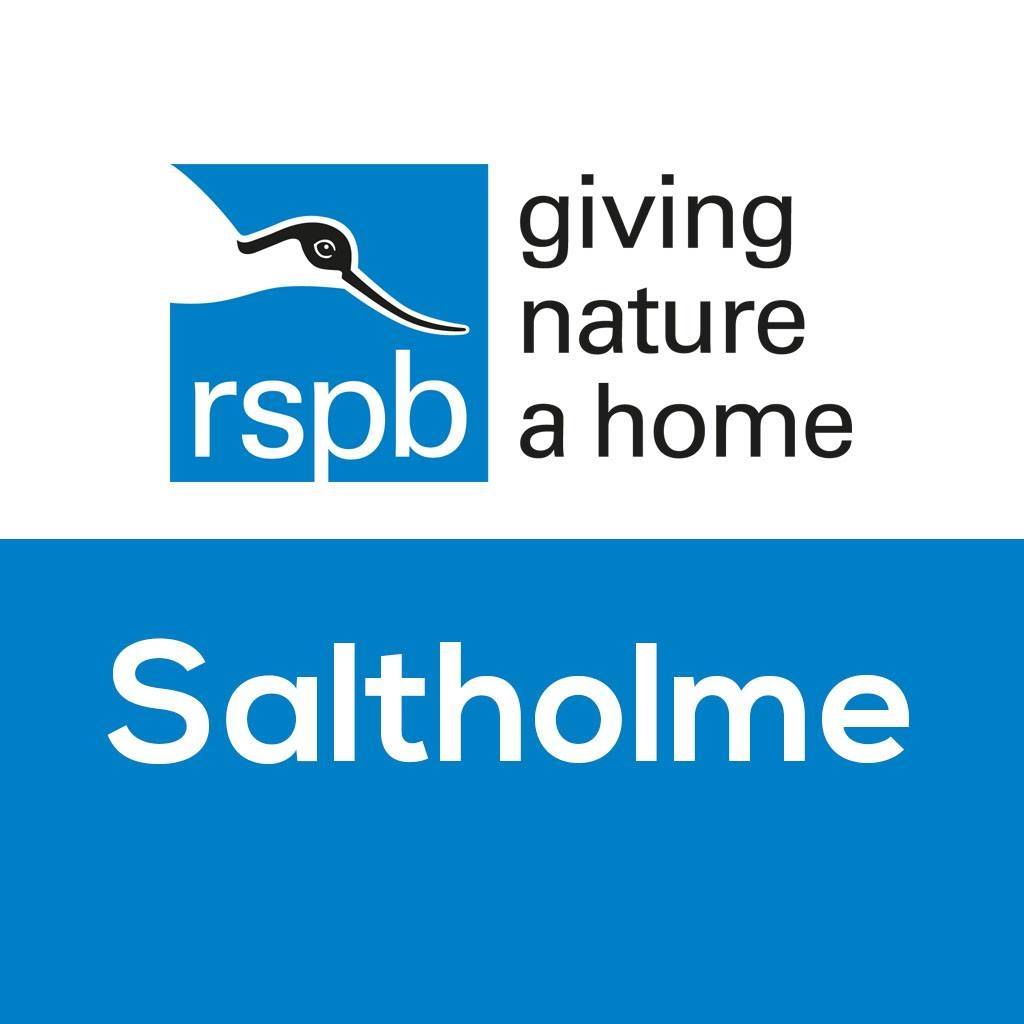 RSPB Saltholme
